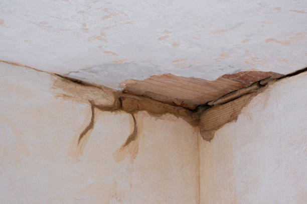 Best Residential water damage restoration  in Lillian, AL