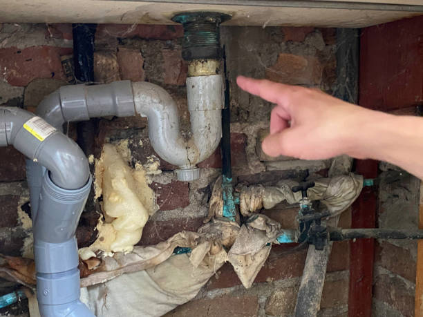 Best Carpet water damage restoration  in Lillian, AL