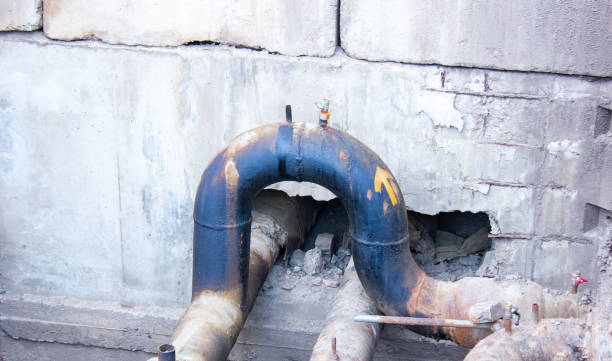 Best Water damage restoration near me  in Lillian, AL