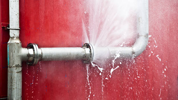 Best Water damage restoration cost  in Lillian, AL